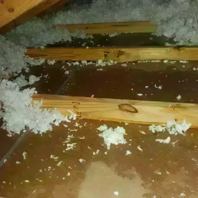 Attic Water Damage in Coleman County, TX