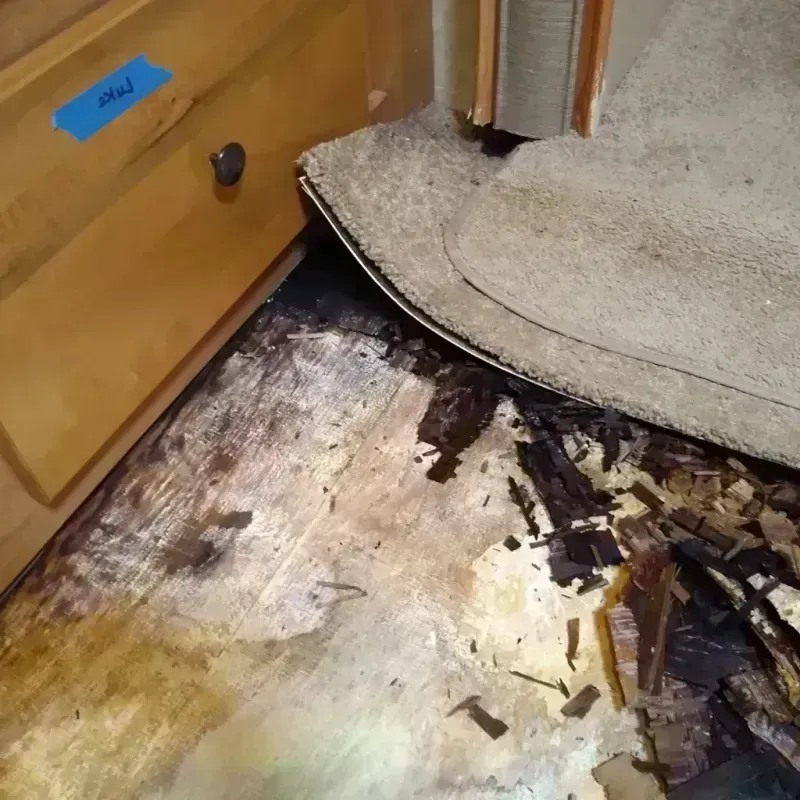 Best Wood Floor Water Damage Service in Coleman County, TX